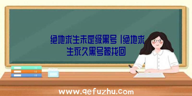 「绝地求生未定级黑号」|绝地求生永久黑号被找回